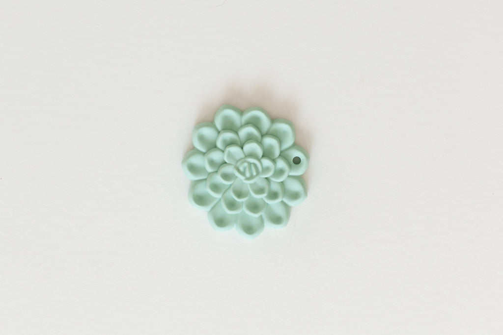 Succulent Teethers